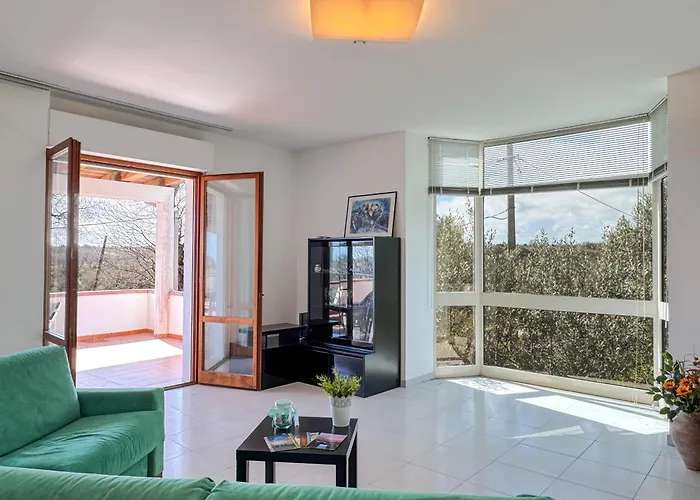 La Finestra Sugli Ulivi *